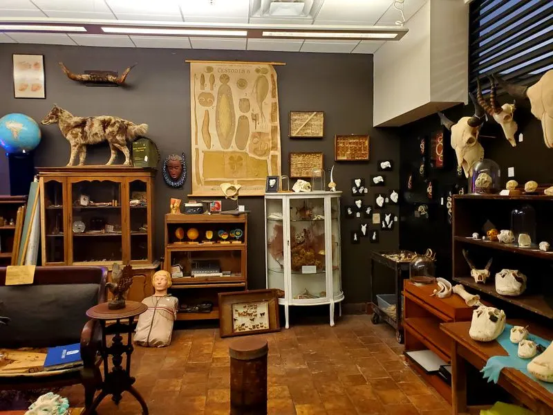 Prices, deals, and what locals actually buy