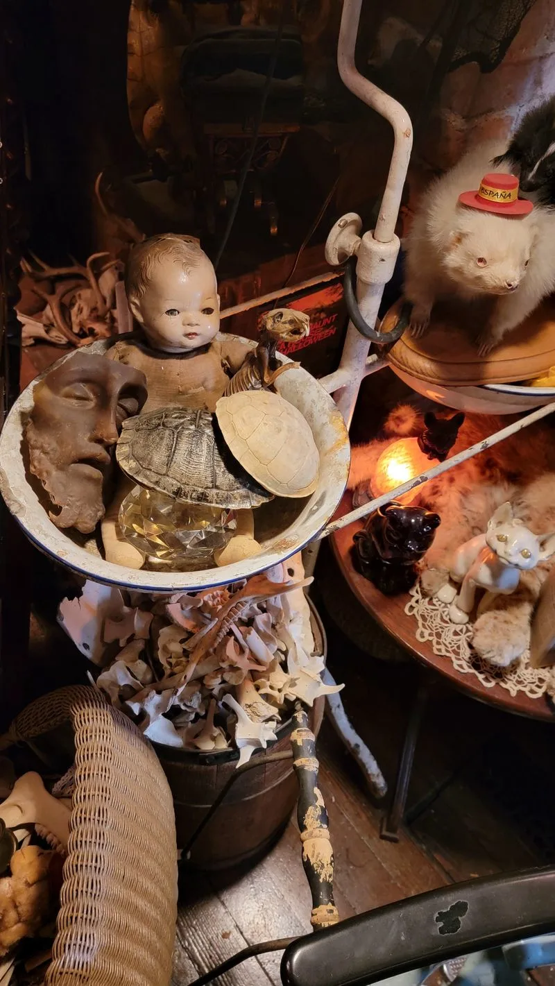 Midnight Lantern Parade