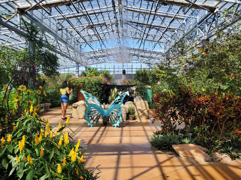 Butterfly Wonderland – Scottsdale