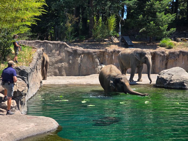 Oregon – Oregon Zoo – Portland