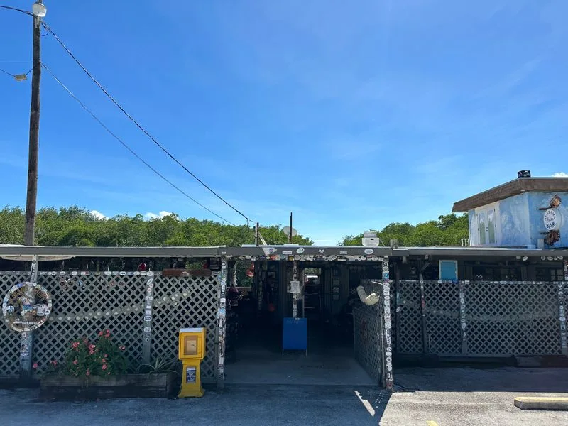 Band, Dance Floor, and Smiles