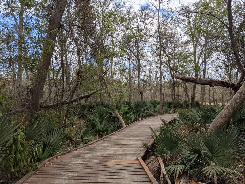 Firefly Meadow at Dusk