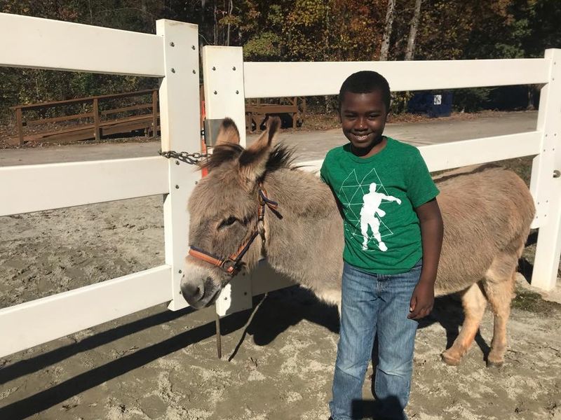 Happy Hooves Petting Farm at Eden Farms - Greenville County, South Carolina