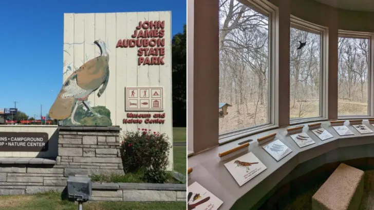 One of Kentucky&rsquo;s Most Overlooked State Parks Is Also One of Its Prettiest