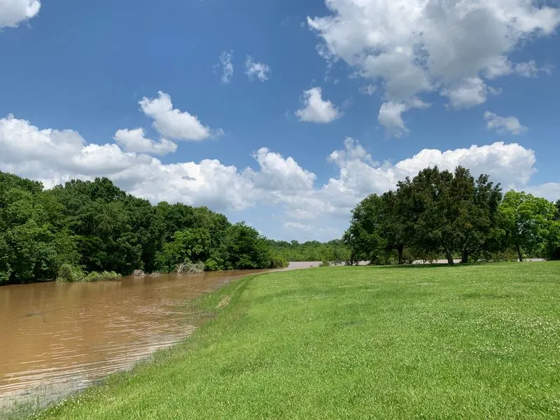 A Drive into the Heart of Cajun Louisiana