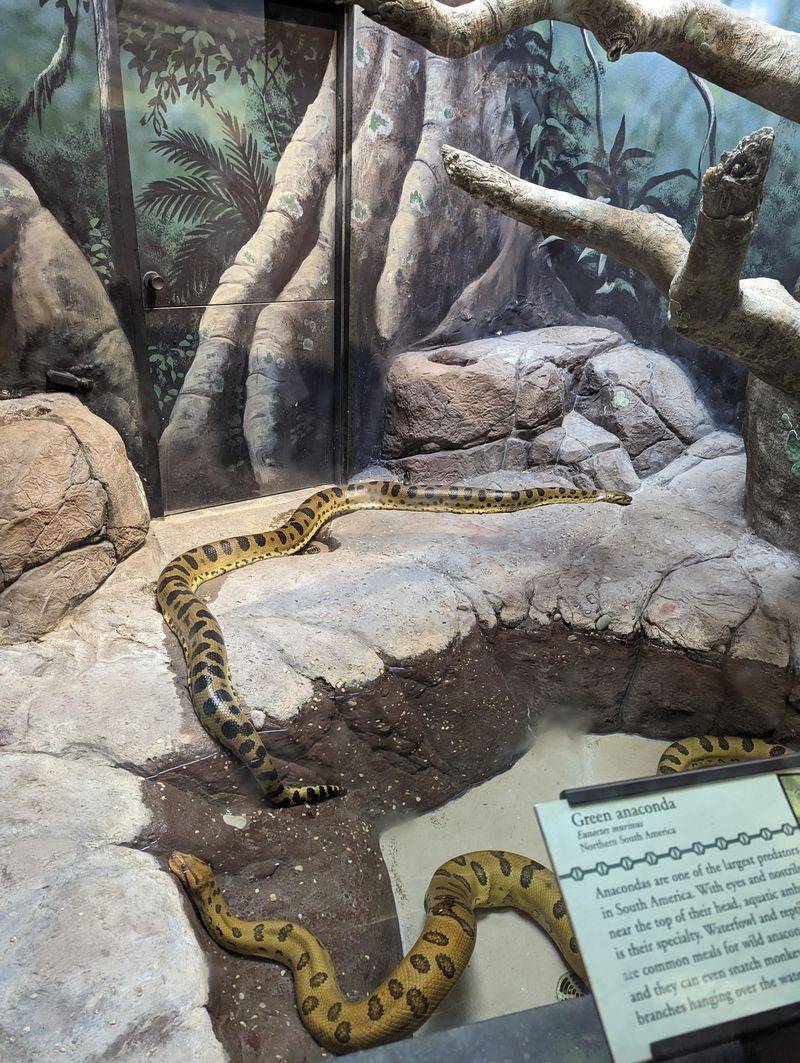 Pennsylvania – Philadelphia Zoo – Philadelphia