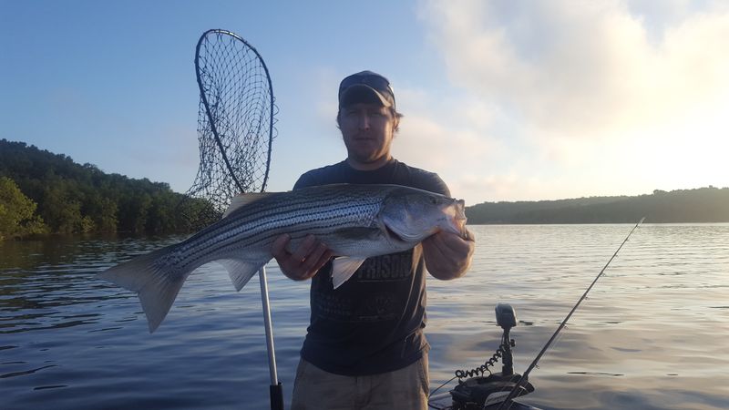 Trout tales on the Norfork tailwater