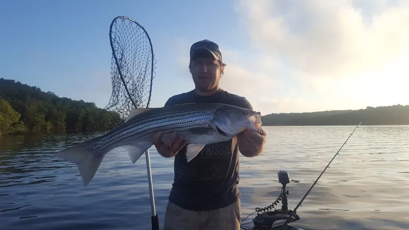 Trout tales on the Norfork tailwater