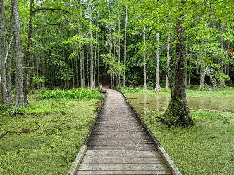 Lassiter Trail Essentials