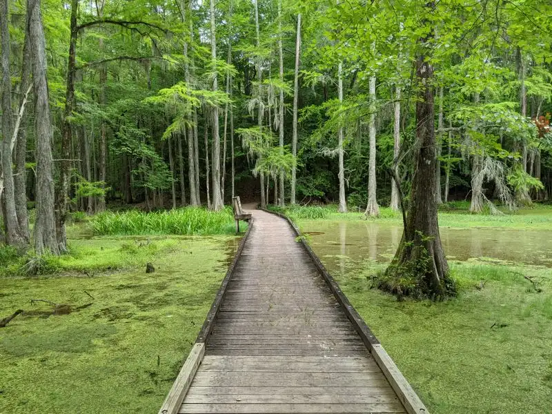 Lassiter Trail Essentials