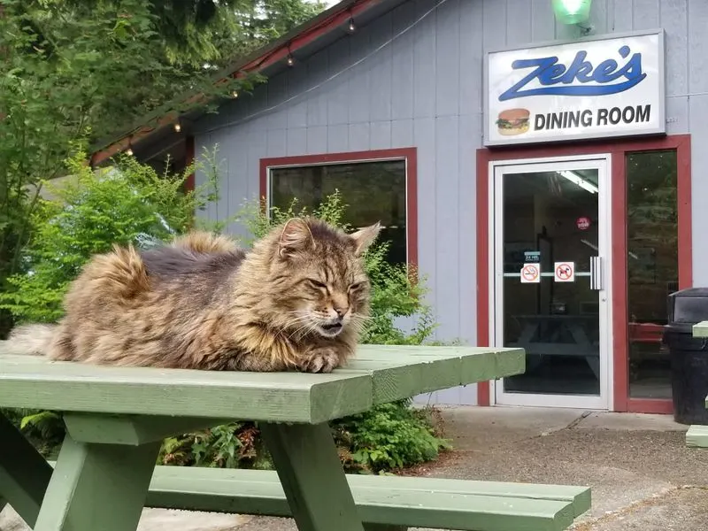 Insider tips, pricing vibes, and final call