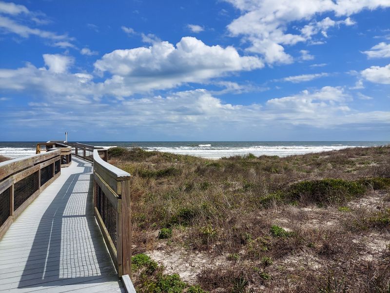 Dune Ridge Trail &ndash; Little Talbot Island State Park