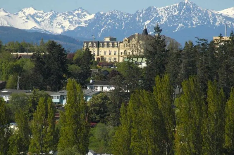 Garden Maze And Sculpture Walk