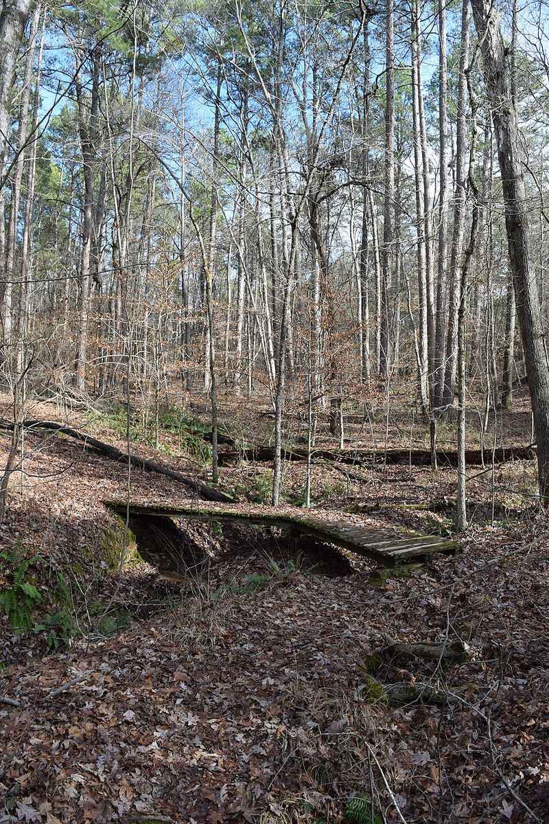 Peaceful Hiking Trails