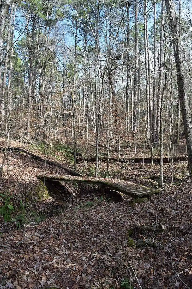 Peaceful Hiking Trails