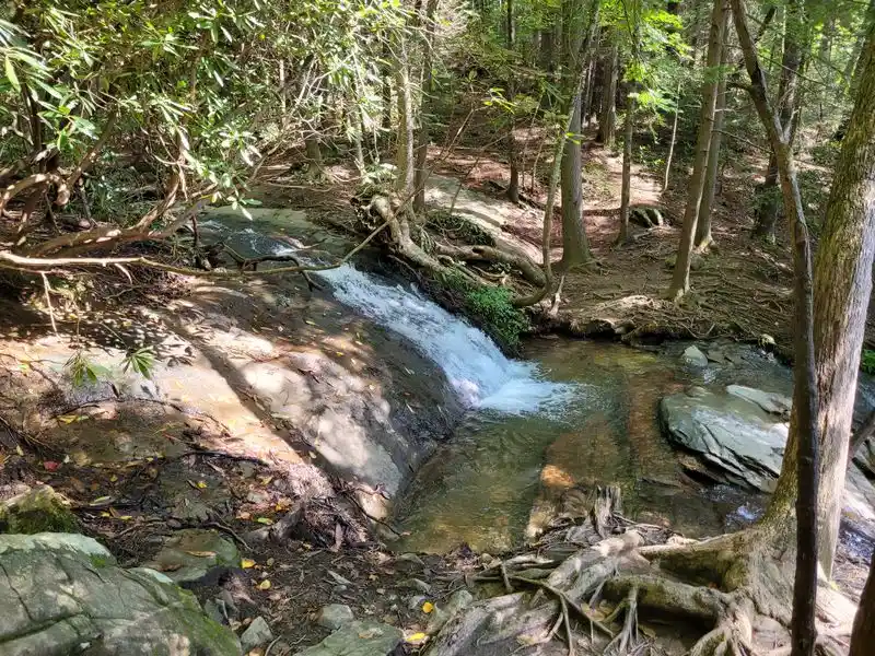 Nature&rsquo;s Tranquility