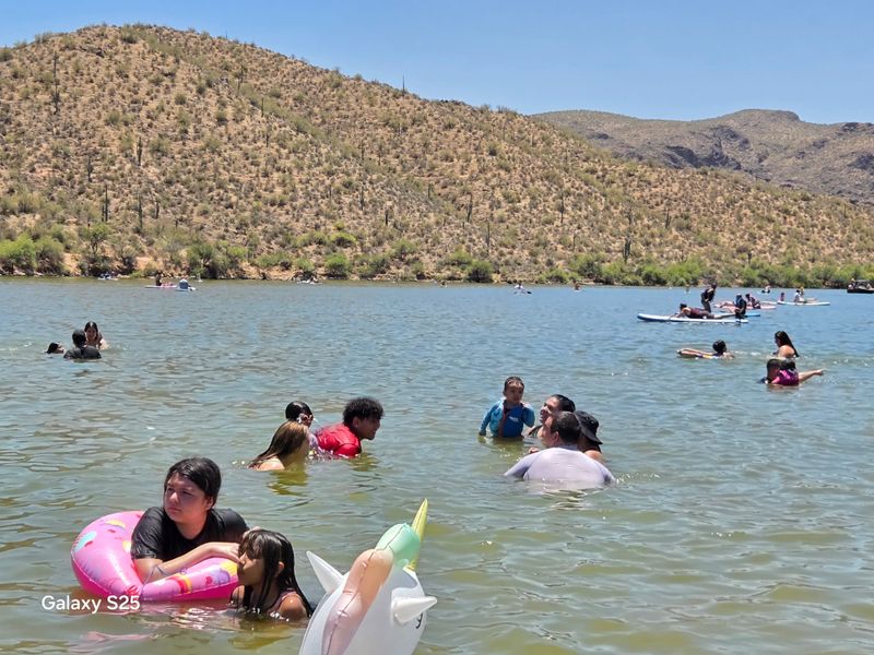 Swimming and water safety in the cove