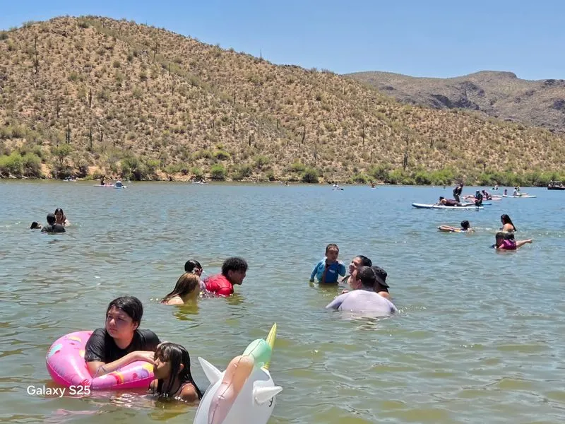 Swimming and water safety in the cove