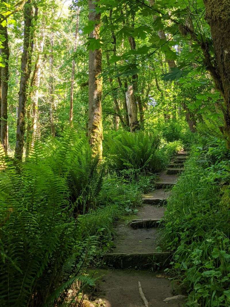 Nature Access Right Outside Town