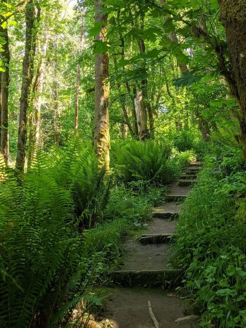 Nature Access Right Outside Town