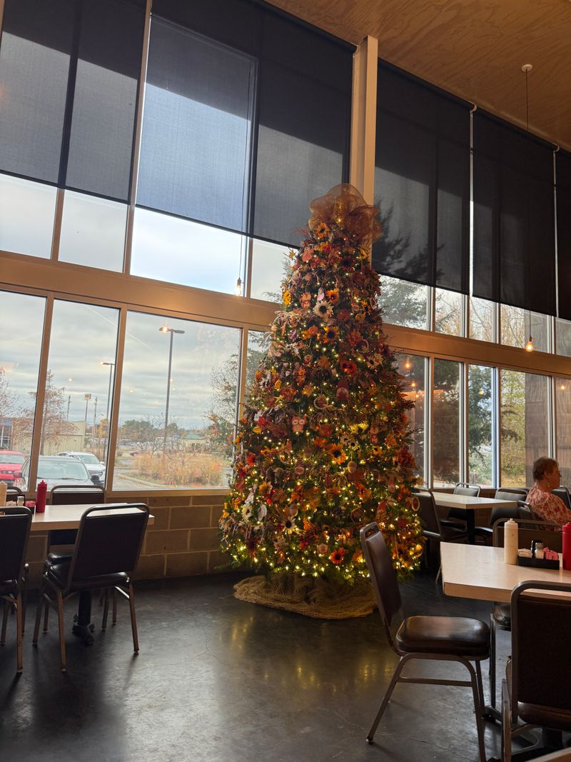 The Vibe: Clean, Bright, and Friendly