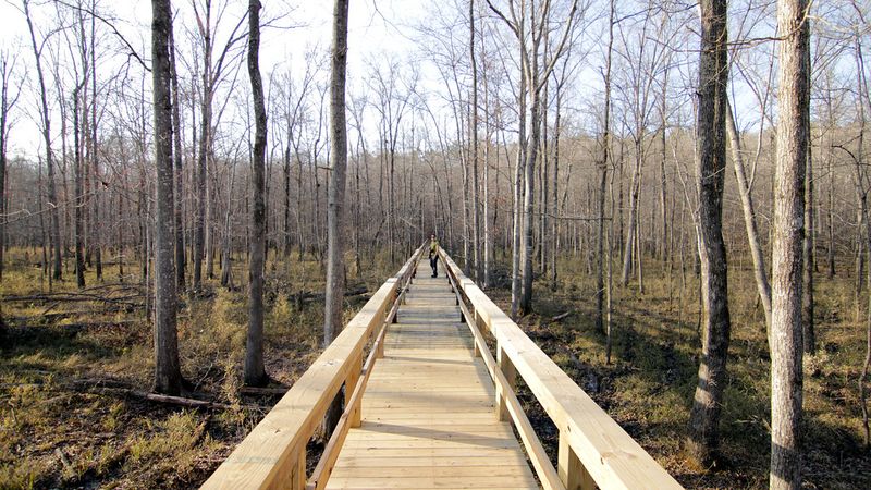 A Haven for Wildlife Lovers
