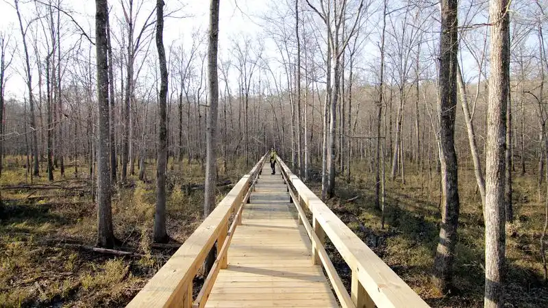 A Haven for Wildlife Lovers