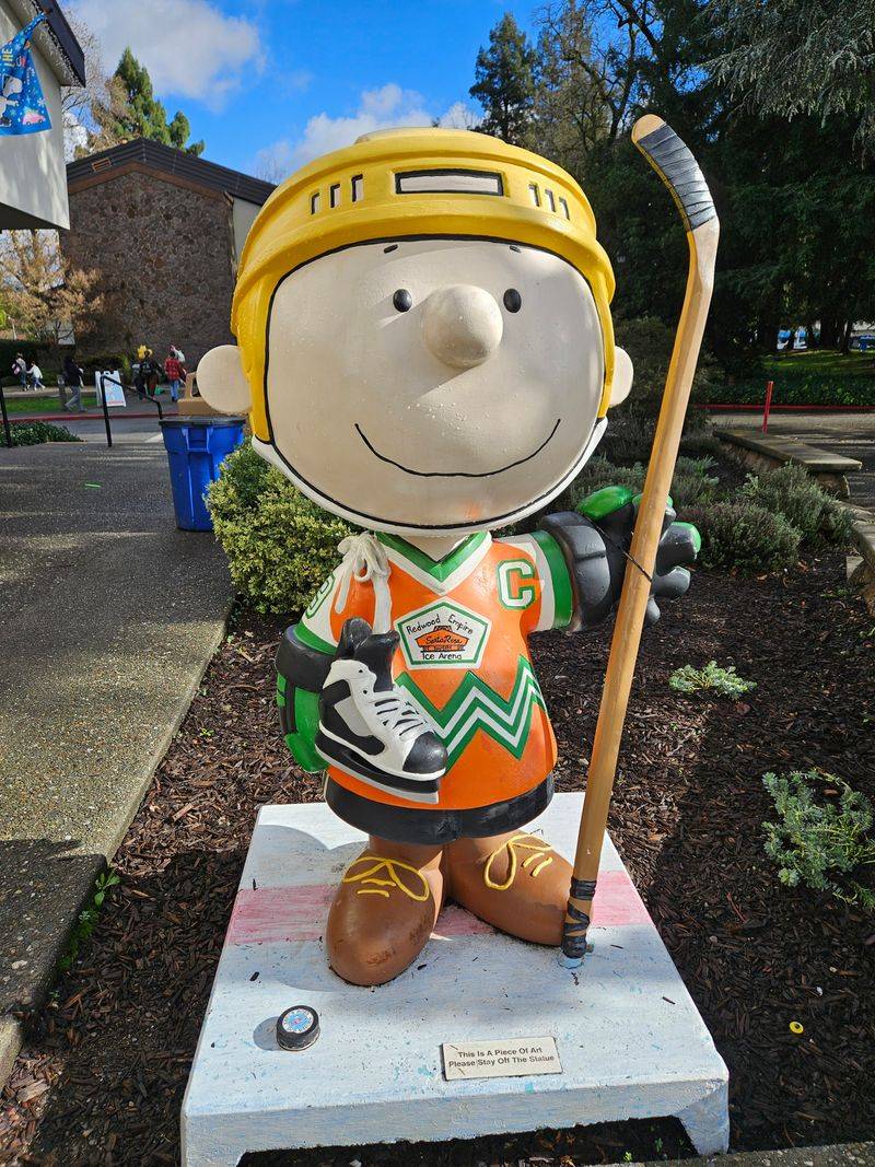 Snoopy's Home Ice