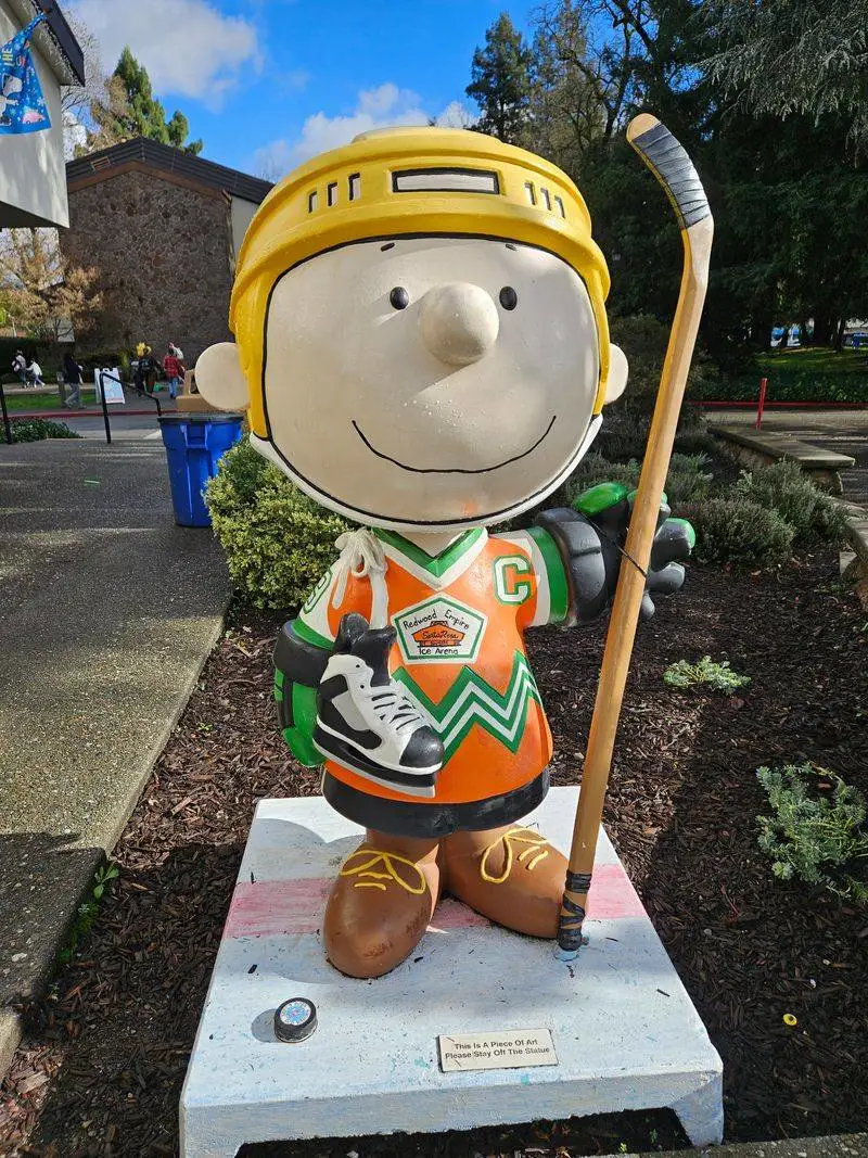 Snoopy's Home Ice