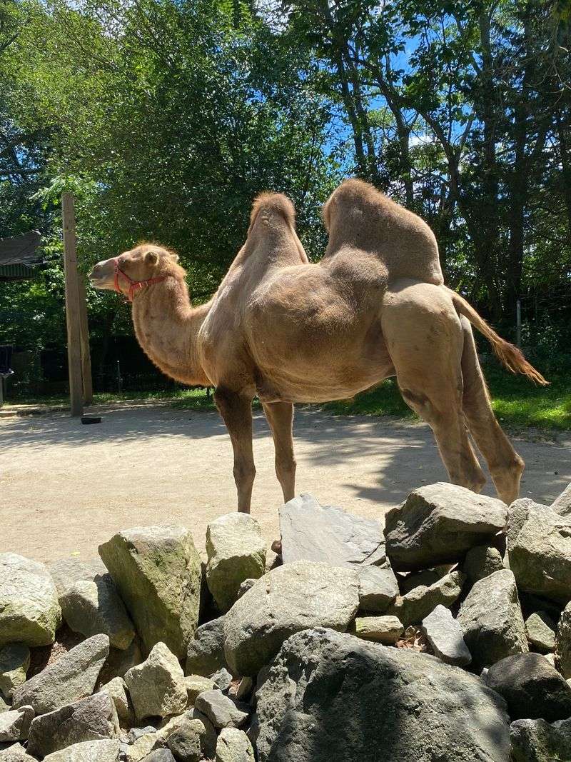 Rhode Island – Roger Williams Park Zoo – Providence