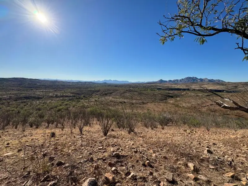 Best Time to Experience the Magic