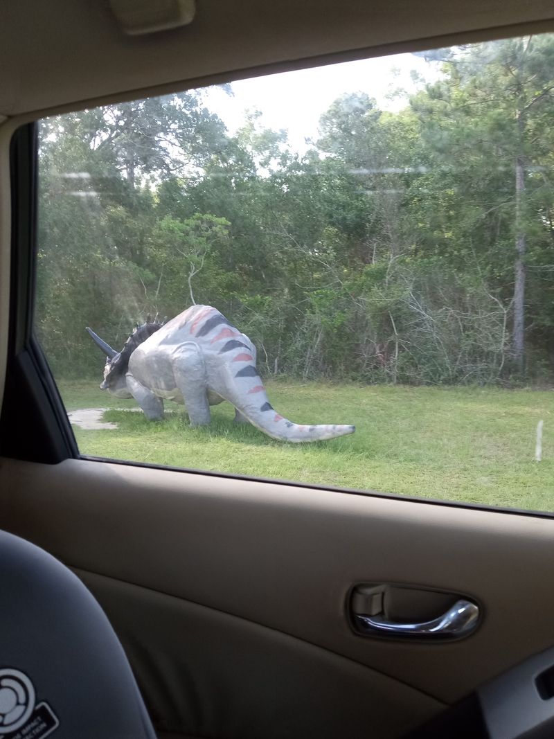 Practical details: parking, hours, and etiquette