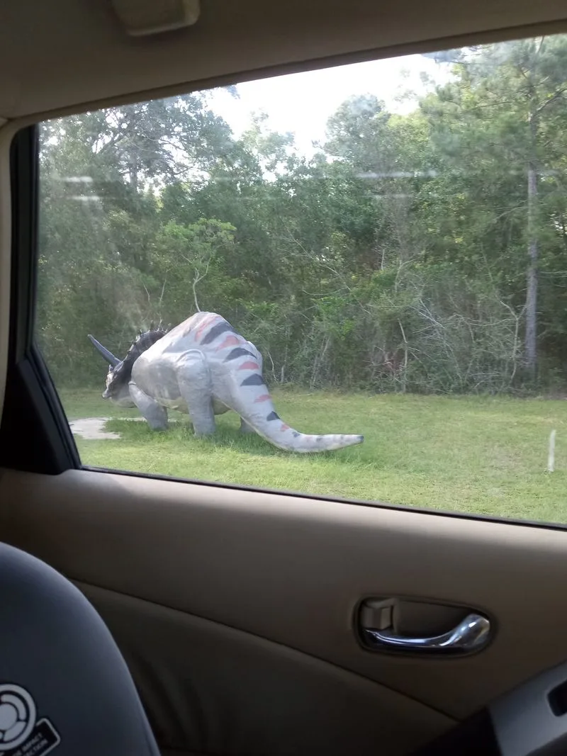 Practical details: parking, hours, and etiquette