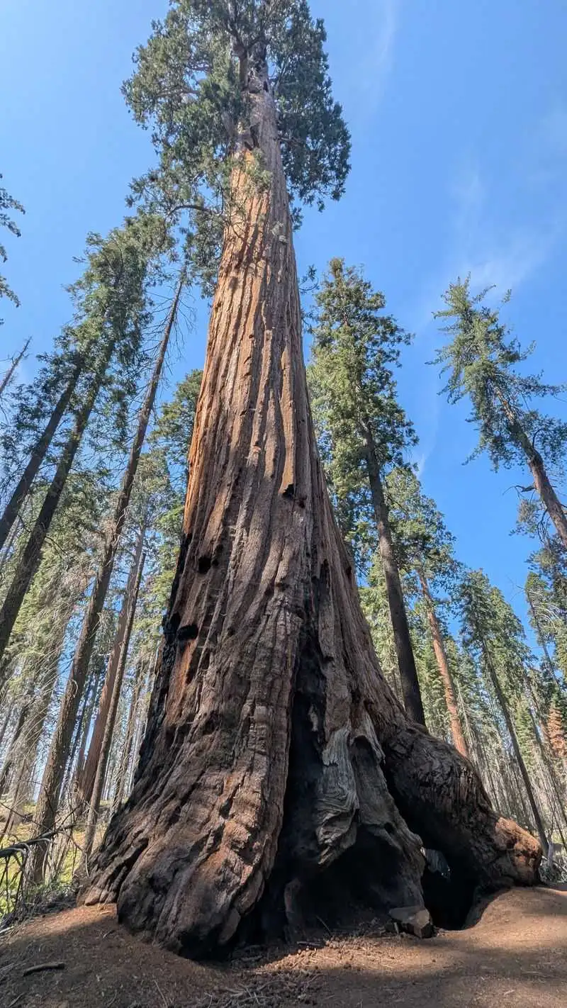 Nearby context and making it a fuller day