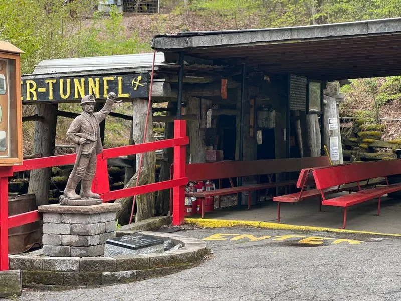 Nearby Ashland Essentials: Parking, Parks, and Eats