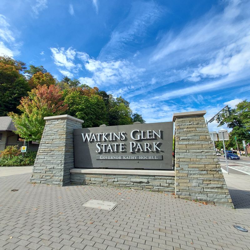 Accessibility and Alternatives