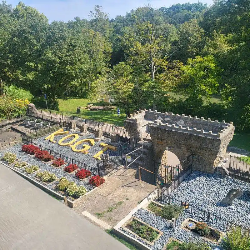 Accessibility, Parking, and Practical Comforts