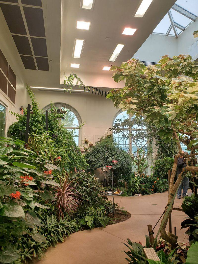 Navigating Crowds and Timing