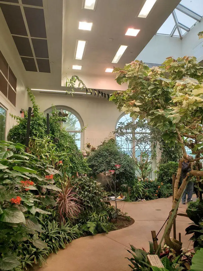 Navigating Crowds and Timing