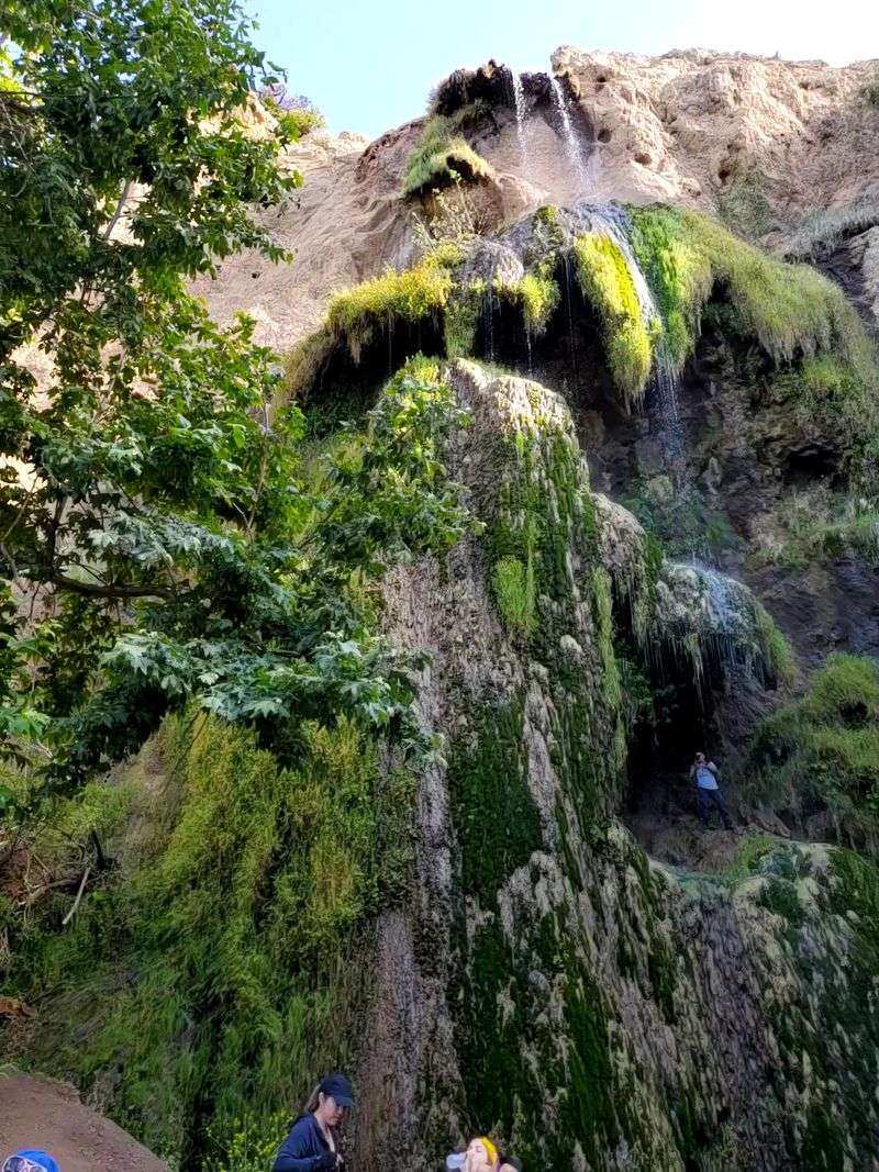 Upper vs Lower Falls: Should You Go Higher