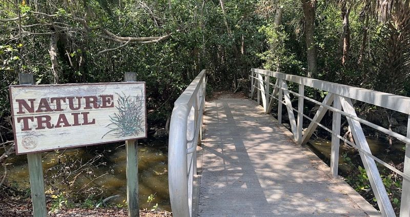 Short Boardwalk Walking Trail Stop