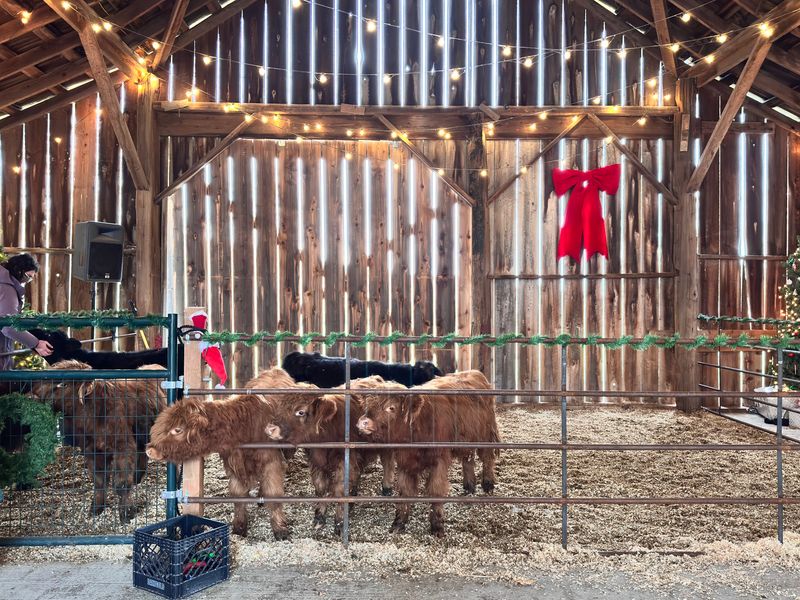 Kid-Friendly Farm Etiquette 101