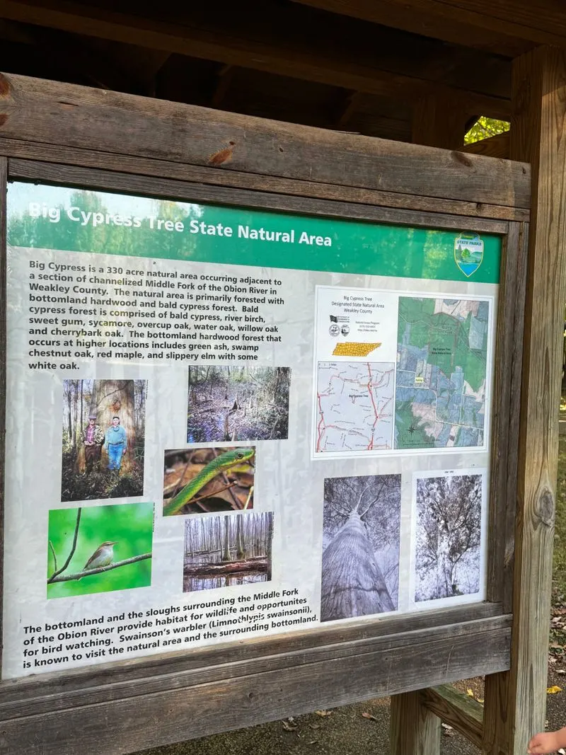 Ranger Talks and Tours