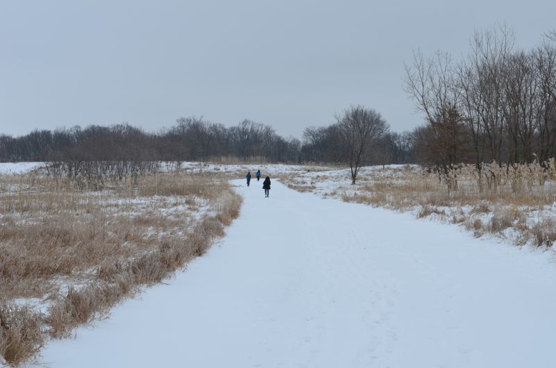 Seasonal Tips, Hours, and Quiet Times