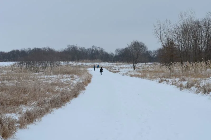 Seasonal Tips, Hours, and Quiet Times