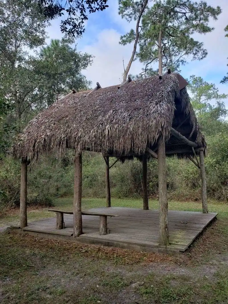 Quiet Birdwatching Routines