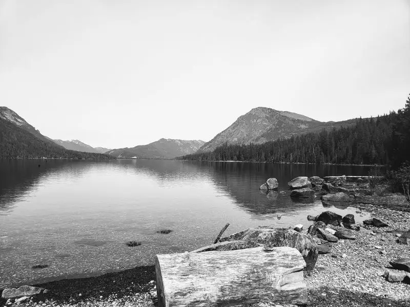 Wildlife watching without the rush