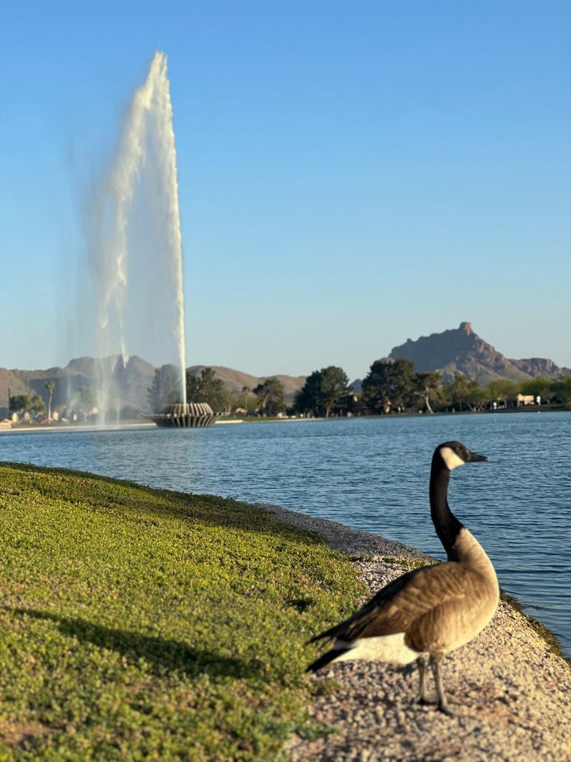 Plan your visit: hours, parking, and contact info