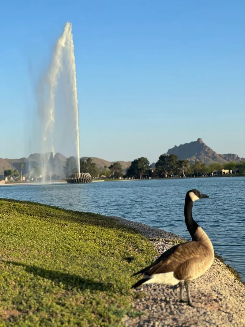 Plan your visit: hours, parking, and contact info