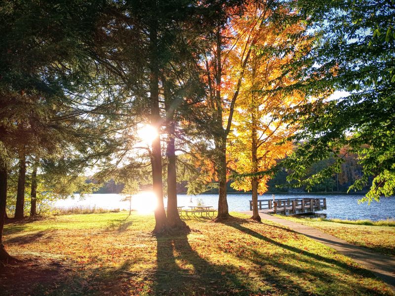 Fall Foliage and Seasonal Beauty